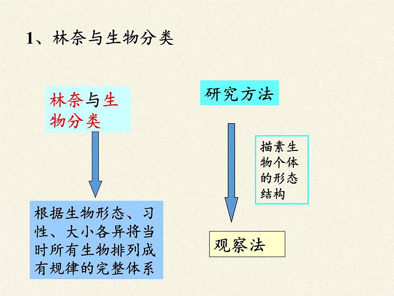 北师大版生物七年级上册 2.1  生物学是探索生命的科学(2)（课件）第6页