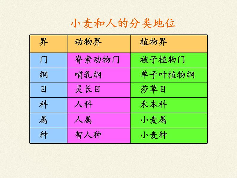 北师大版生物七年级上册 2.1  生物学是探索生命的科学(2)（课件）第7页