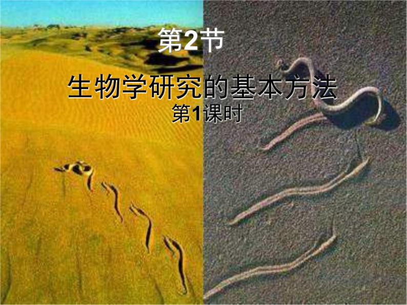 北师大版生物七年级上册 2.2 生物学研究的基本方法拍摄用（课件）01