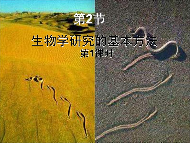 北师大版生物七年级上册 2.2 生物学研究的基本方法拍摄用（课件）第1页