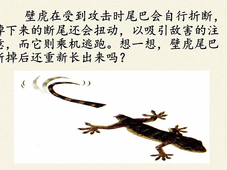 北师大版生物七年级上册 3.3   细胞通过分裂而增殖（课件）02