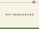 北师大版生物七年级上册 3.3  细胞通过分裂而增殖(8)（课件）