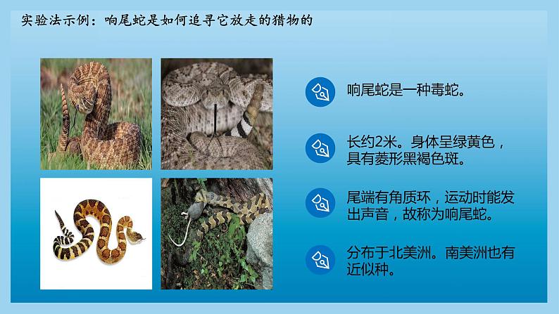 北师大版生物七年级上册 2.2  生物学研究的基本方法（课件）08