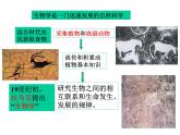 北师大版生物七年级上册 2.1 生物学是探索生命的科学_（课件）