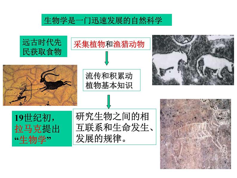 北师大版生物七年级上册 2.1 生物学是探索生命的科学_（课件）第3页