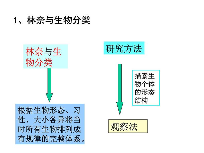 北师大版生物七年级上册 2.1 生物学是探索生命的科学_（课件）第6页