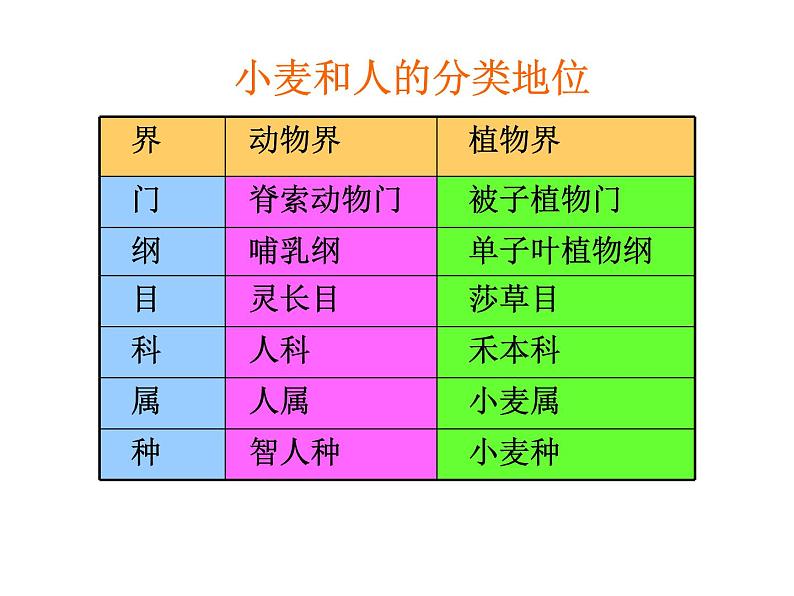 北师大版生物七年级上册 2.1 生物学是探索生命的科学_（课件）第7页