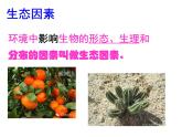 北师大版生物七年级上册 1.2 生物与环境的相互影响（课件）