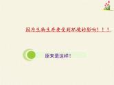 北师大版生物七年级上册 1.2 生物与环境的相互影响(1)（课件）