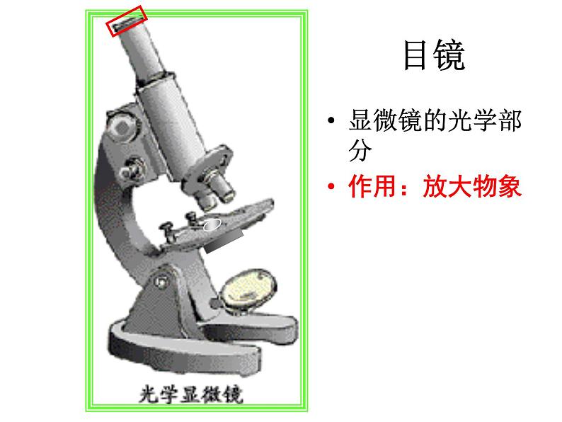 北师大版生物七年级上册 3.1 细胞的基本结构和功能_（课件）08