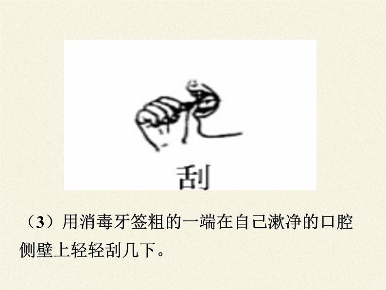 北师大版生物七年级上册 3.1 细胞的基本结构和功能（课件）07