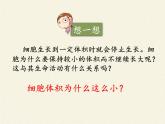 北师大版生物七年级上册 3.3  细胞通过分裂而增殖(3)（课件）