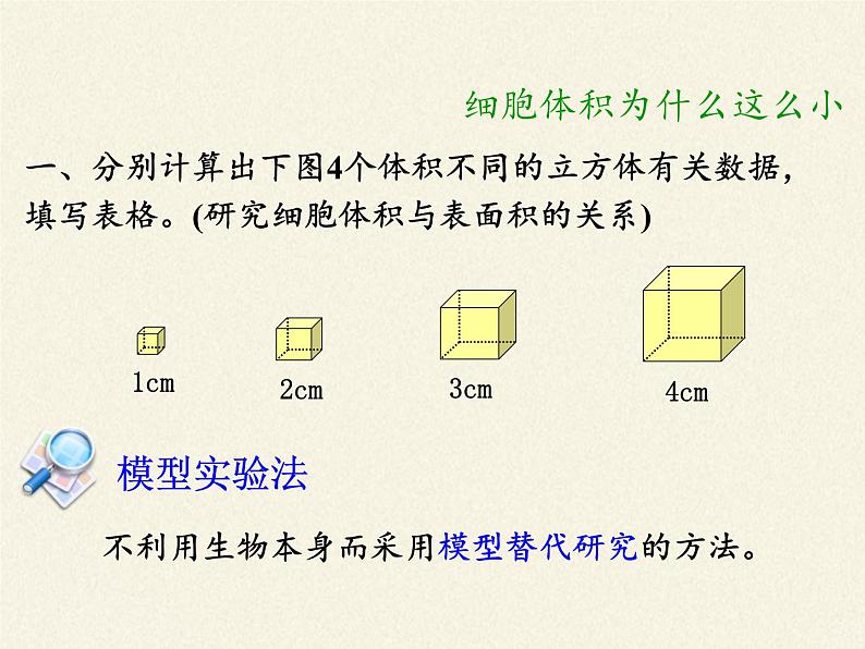 北师大版生物七年级上册 3.3  细胞通过分裂而增殖(3)（课件）06