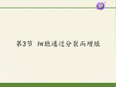 北师大版生物七年级上册 3.3  细胞通过分裂而增殖(2)（课件）