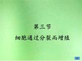 北师大版生物七年级上册 3.3  细胞通过分裂而增殖(2)（课件）