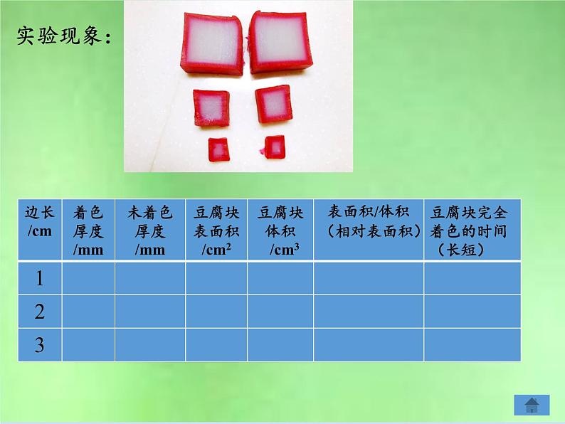 北师大版生物七年级上册 3.3  细胞通过分裂而增殖(2)（课件）08