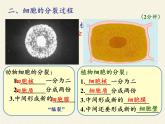 北师大版生物七年级上册 3.3  细胞通过分裂而增殖(7)（课件）