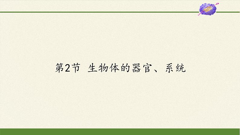 北师大版生物七年级上册 4.2 生物体的器官、系统(6)（课件）01