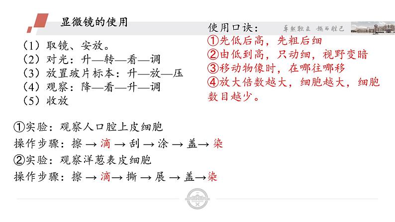 北师大版生物七年级上册 4.2 生物体的器官、系统(6)（课件）04