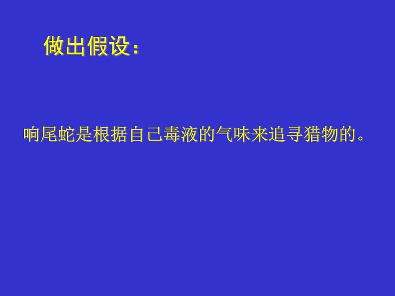 生物学研究的基本方法PPT课件免费下载06