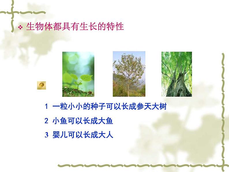 北师大版生物七年级上册 3.3  细胞通过分裂而增殖（课件）第3页