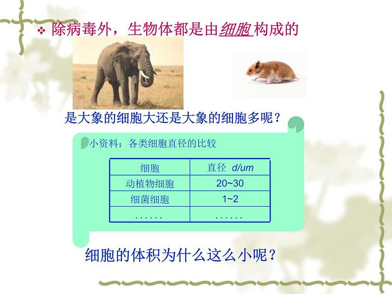 北师大版生物七年级上册 3.3  细胞通过分裂而增殖（课件）第5页