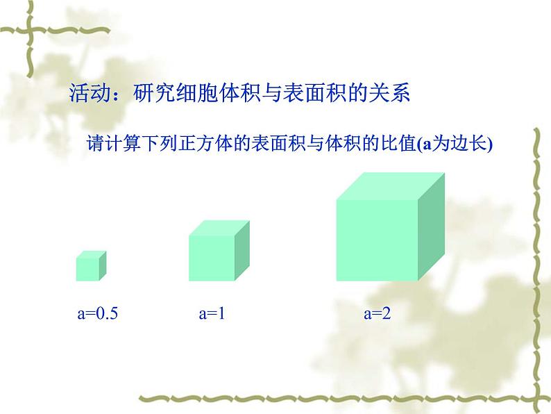 北师大版生物七年级上册 3.3  细胞通过分裂而增殖（课件）第7页