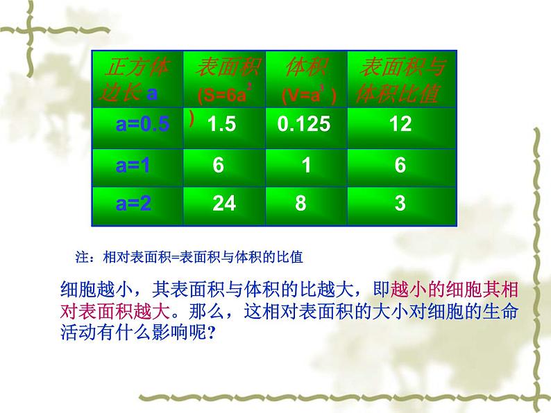 北师大版生物七年级上册 3.3  细胞通过分裂而增殖（课件）第8页