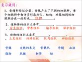 北師大版生物七年級(jí)上冊(cè) 4.2 生物體的器官、系統(tǒng)（課件）