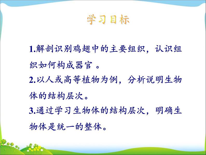 北师大版生物七年级上册 4.2 生物体的器官、系统（课件）06