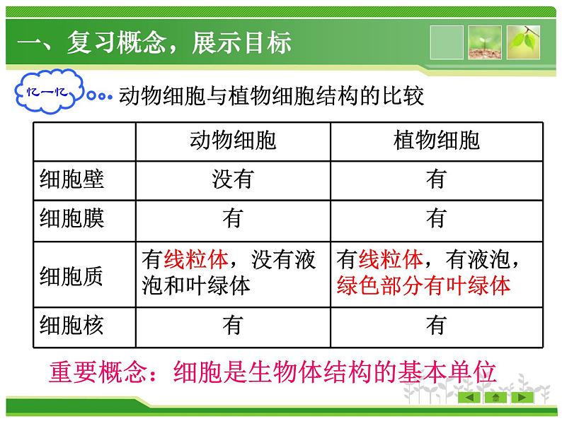 北师大版生物七年级上册 3.2 细胞是生命活动的单位（课件）03