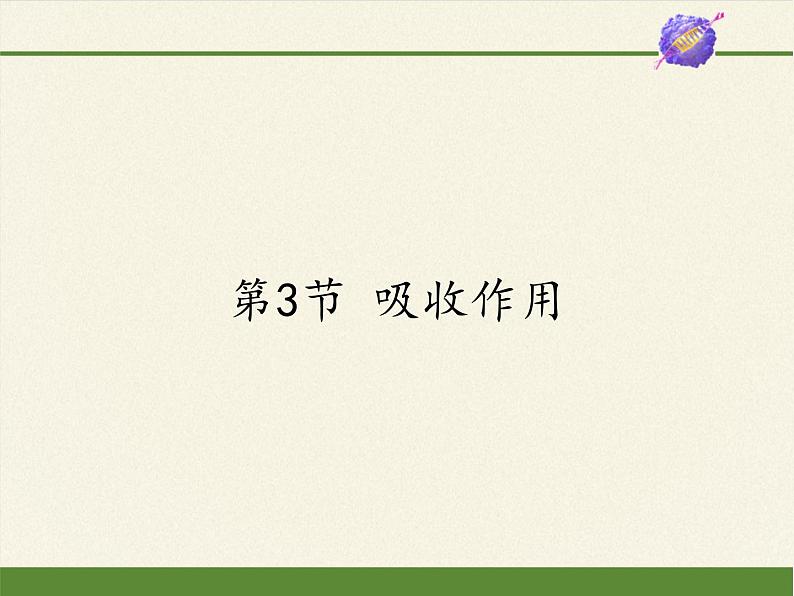 北师大版生物七年级上册 5.3  吸收作用(1)（课件）第1页