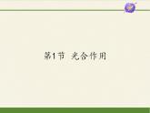 北师大版生物七年级上册 5.1 光合作用(1)（课件）