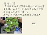 北师大版生物七年级上册 5.1 光合作用(1)（课件）