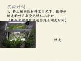 北师大版生物七年级上册 5.1 光合作用(1)（课件）