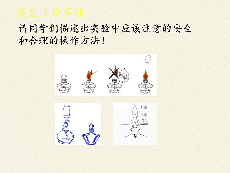 北师大版生物七年级上册 5.1 光合作用(1)（课件）07