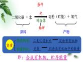 北师大版生物七年级上册 5.1 光合作用（课件）