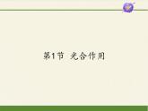 北师大版生物七年级上册 5.1 光合作用(3)（课件）