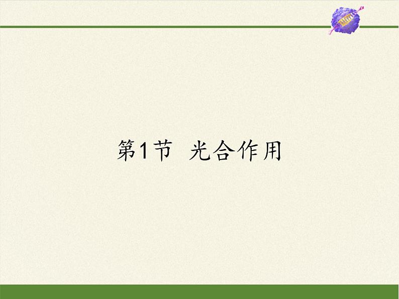 北师大版生物七年级上册 5.1 光合作用(3)（课件）第1页