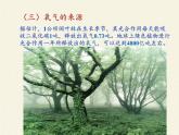 北师大版生物七年级上册 5.1 光合作用(4)（课件）