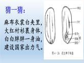 北师大版生物七年级上册 6.1  种子萌发形成幼苗(9)（课件）