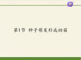 北师大版生物七年级上册 6.1 种子萌发形成幼苗(5)（课件）