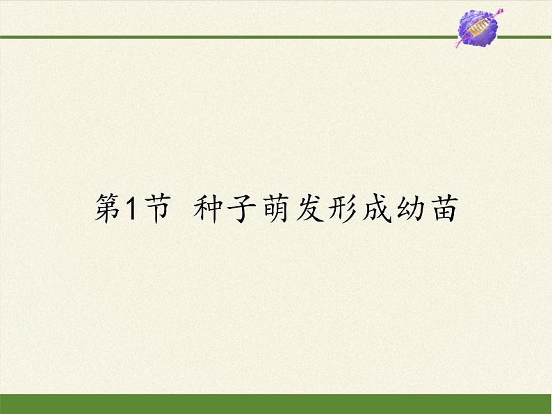 北师大版生物七年级上册 6.1 种子萌发形成幼苗(5)（课件）01