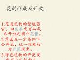 北师大版生物七年级上册 6.3 生殖器官的生长(2)（课件）