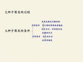 北师大版生物七年级上册 6.3 生殖器官的生长(10)（课件）