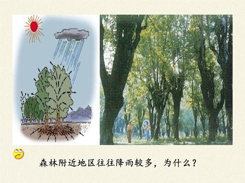 北师大版生物七年级上册 5.4 蒸腾作用（课件）04