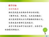 北师大版生物七年级上册 6.3 生殖器官的生长_（课件）