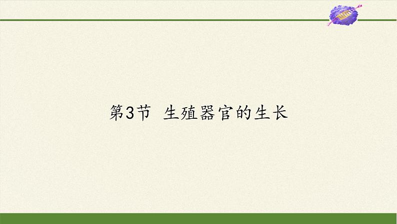 北师大版生物七年级上册 6.3 生殖器官的生长(8)（课件）第1页