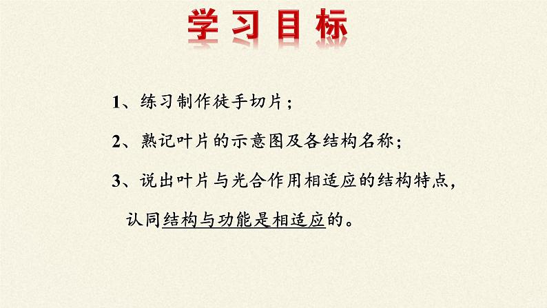 北师大版生物七年级上册 5.1 光合作用(2)（课件）02