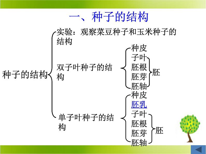 北师大版生物七年级上册 6.1 种子萌发形成幼苗_（课件）03